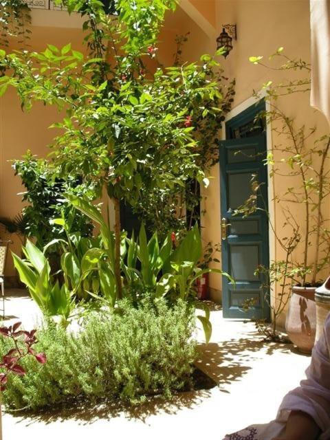 马拉喀什 厄尔菲拉利摩洛哥传统庭院住宅酒店 客房 照片